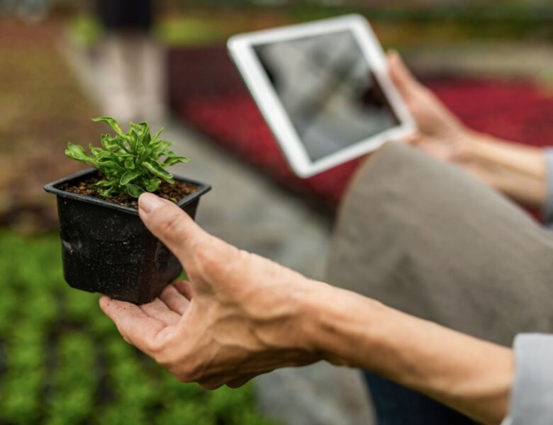 close-up-woman-examining-plant-growth-using-touchpad-while-working-plant-nursery-