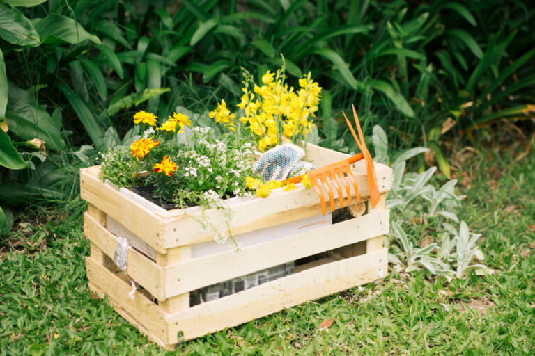 yellow-blooms-garden-equipment-wooden-box