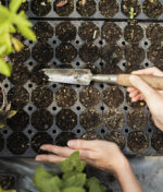 A Key to Sustainable Gardening